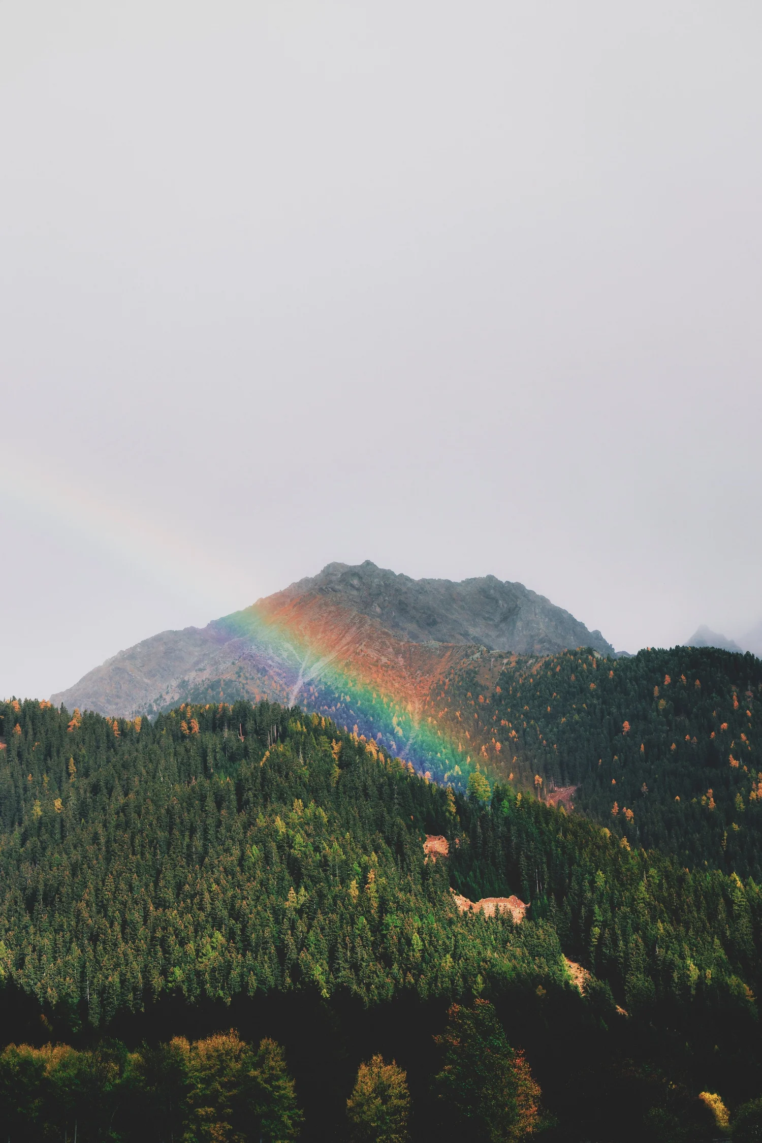 A rainbow appearing over a forested mountain